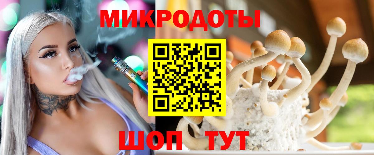 Искитим  Псилоцибиновые грибы Psilocybine cubensis  хочу наркоту  Вход с VPN 